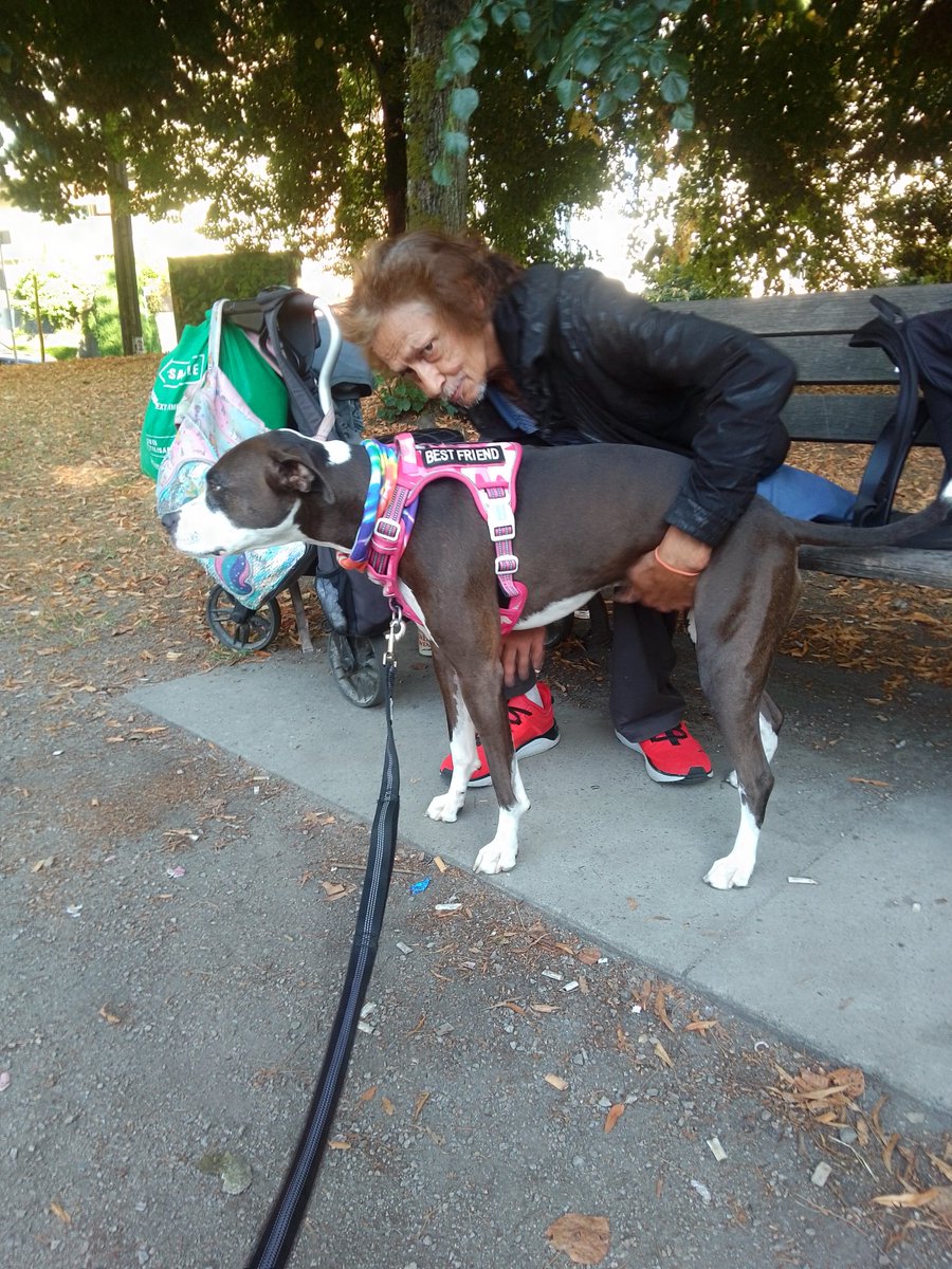 LebrockTony's tweet image. Sat 🌄🐕🏞️⌛ Snugs 🥰 Hugs 
💙🐾💙💙😎👑🫰💙💙🐾💙
#togetheras1 #pittiesaregreat #friendshipday2025 #staffies
#saturdayfun #friends #doggi
#poochieslove #furbaby #piti
#afternoondelight #dogfriend
#MadamRiley #bestfriends