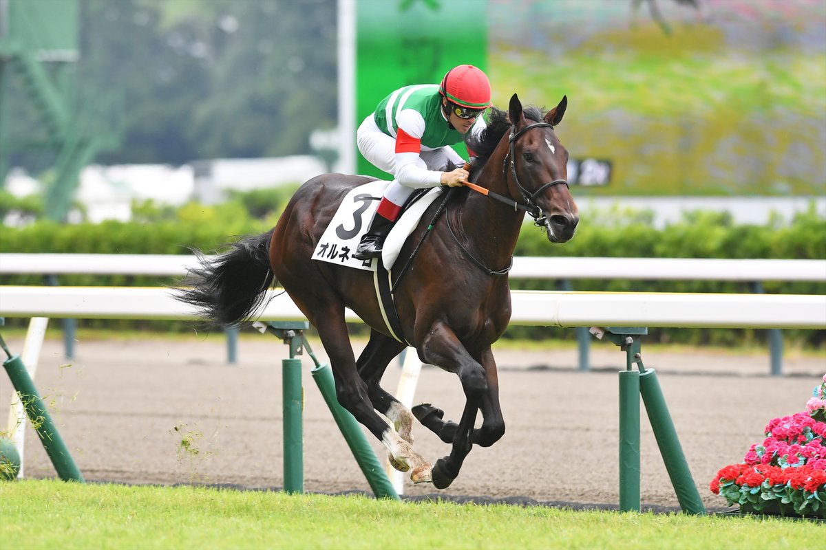 いなりずし欄　グランアレグリア　イラスト　コピック　競馬 いなりずし欄 グランアレグリア イラスト コピック 競馬 グラン