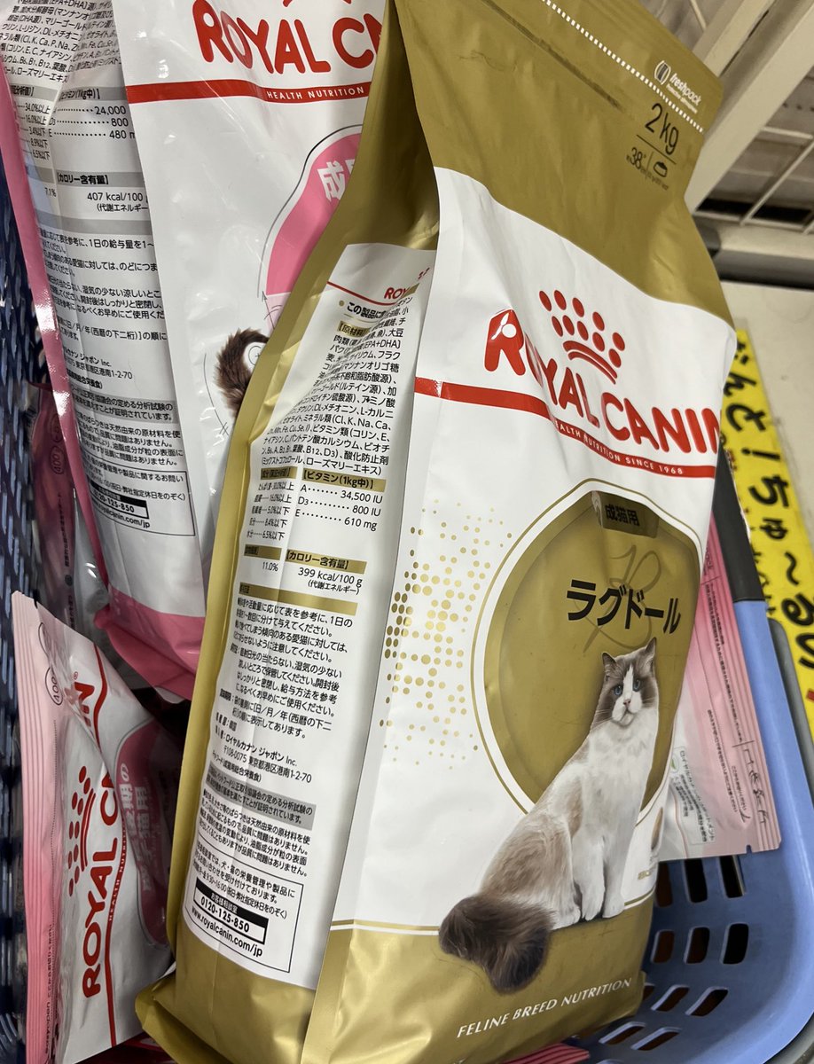 HARU　ご購入ご遠慮下さい ishino7_kf0921-8a