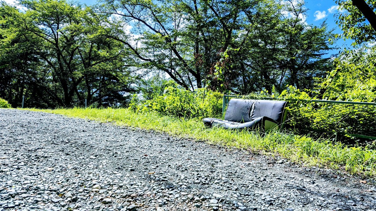 やることが無いです………