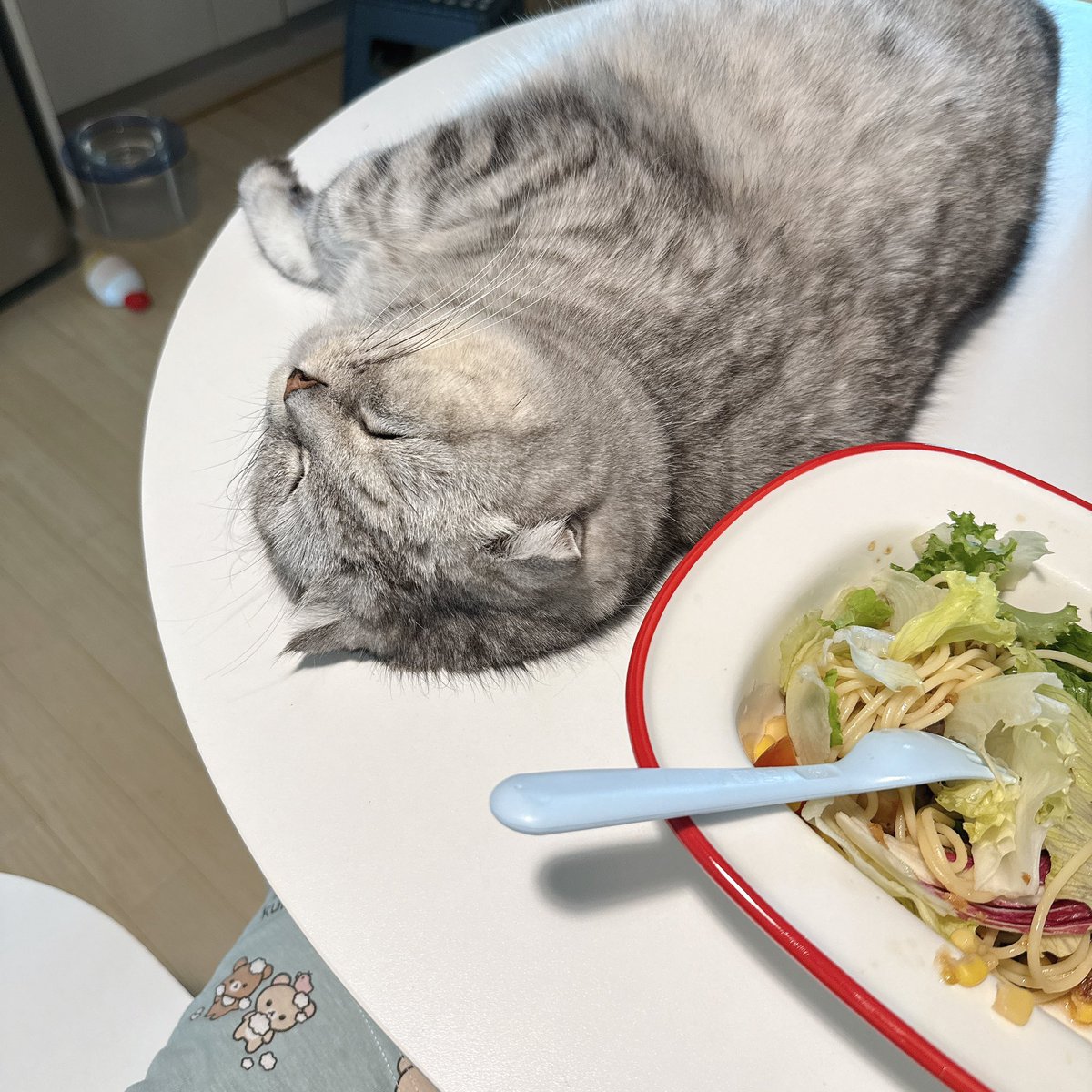 황당하다 걍 . .