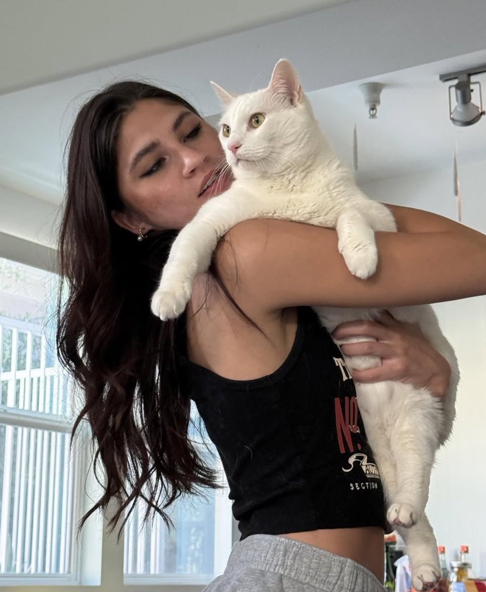 GET IN HERE twitch.tv/maddiedevv