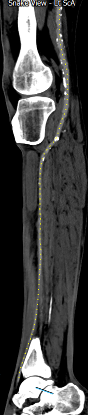 mel sharafuddin tweet media