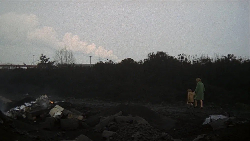 Silocus's tweet image. Everything feels wrong