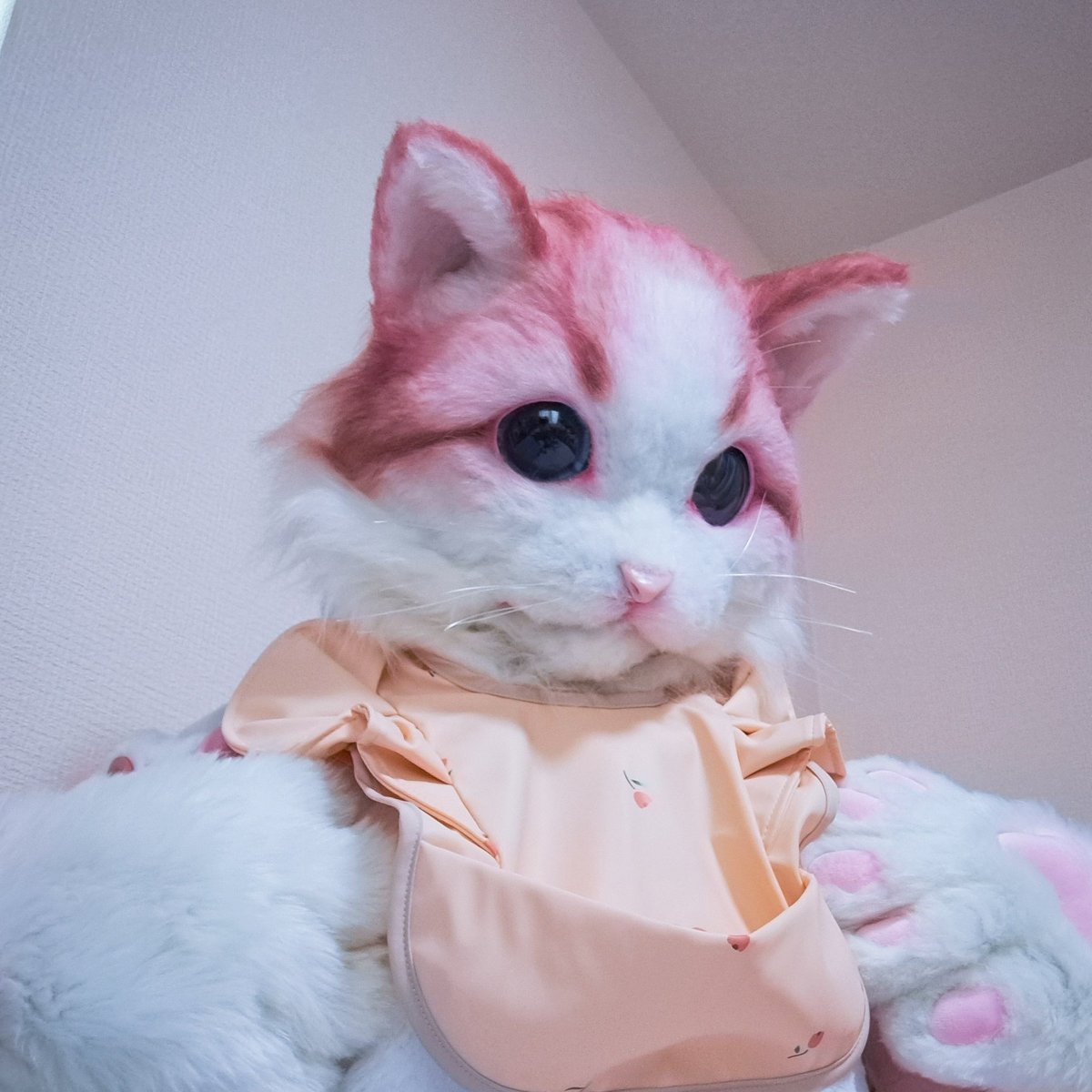 ちょびこ🍬 (@chobiko_0w0) on Twitter photo この度、ATELIER neo CHOPS様<a href="/BurtonSeven152/">ATELIER neo『CHOPS』オーダー制作受付中!</a> より、マンチカンの赤ちゃん子猫をお迎えしました🐱
桃みたいな可愛いピンク色で真ん丸なまんまるキューとなお顔から、『ももちゃん』と名付けました🍑🐱
これから何処かでお見掛けした時には宜しくお願いします🙇♀️
#CHOPS
#超獣一華
#fursuit この度、ATELIER neo CHOPS様<a href="/BurtonSeven152/">ATELIER neo『CHOPS』オーダー制作受付中!</a> より、マンチカンの赤ちゃん子猫をお迎えしました🐱
桃みたいな可愛いピンク色で真ん丸なまんまるキューとなお顔から、『ももちゃん』と名付けました🍑🐱
これから何処かでお見掛けした時には宜しくお願いします🙇♀️
#CHOPS
#超獣一華
#fursuit