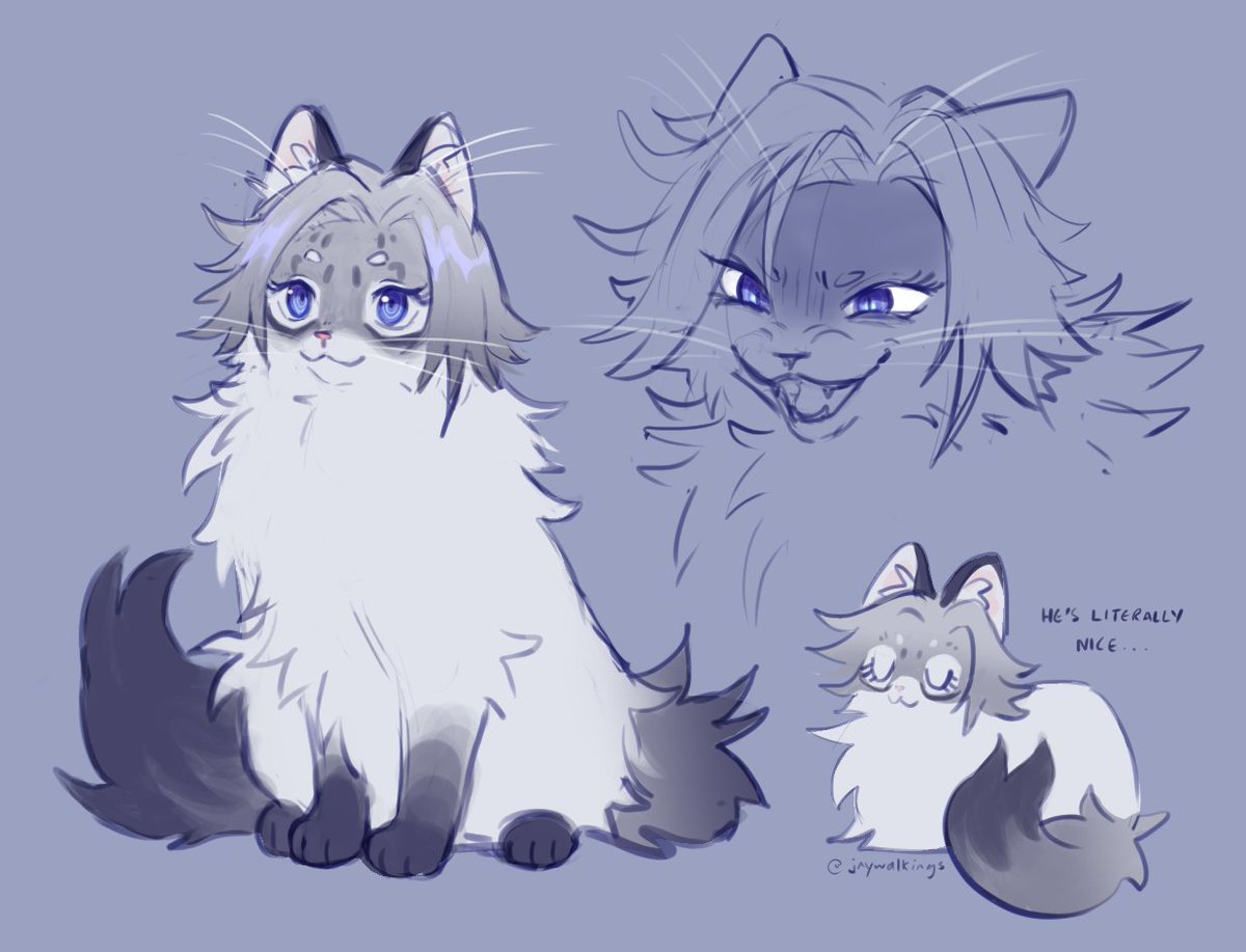my ragdoll cat eito agenda #hndr_FA