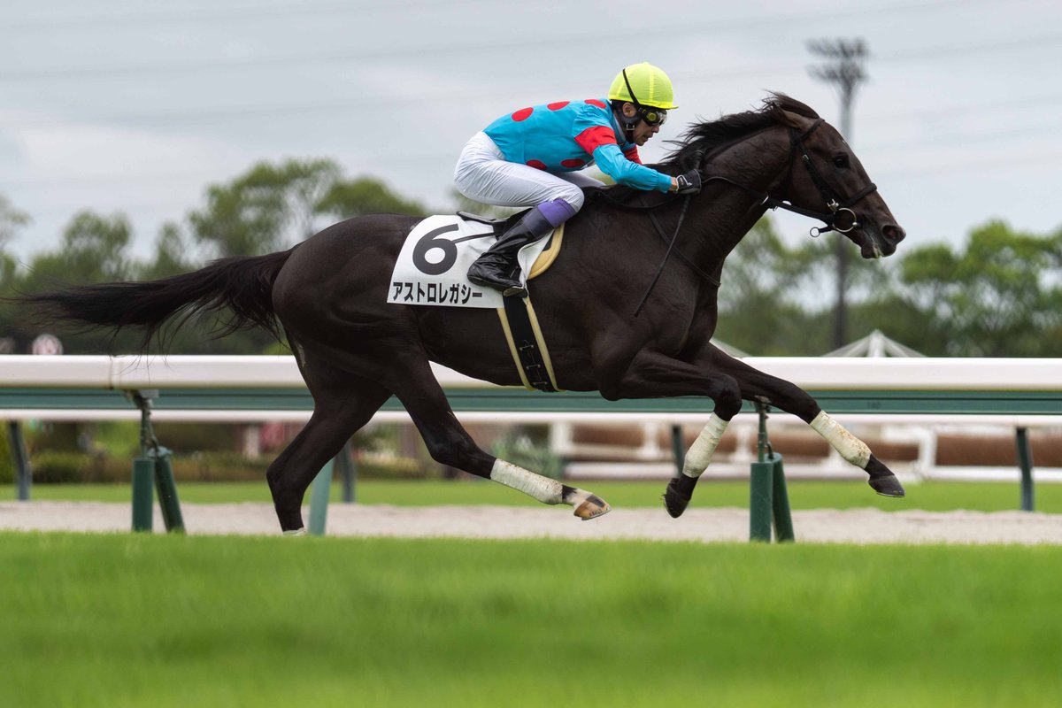 上山競馬　ラスト·メモリアル　武豊騎手 上山競馬 ラスト·メモリアル 武豊騎手 上山競馬 ラスト
