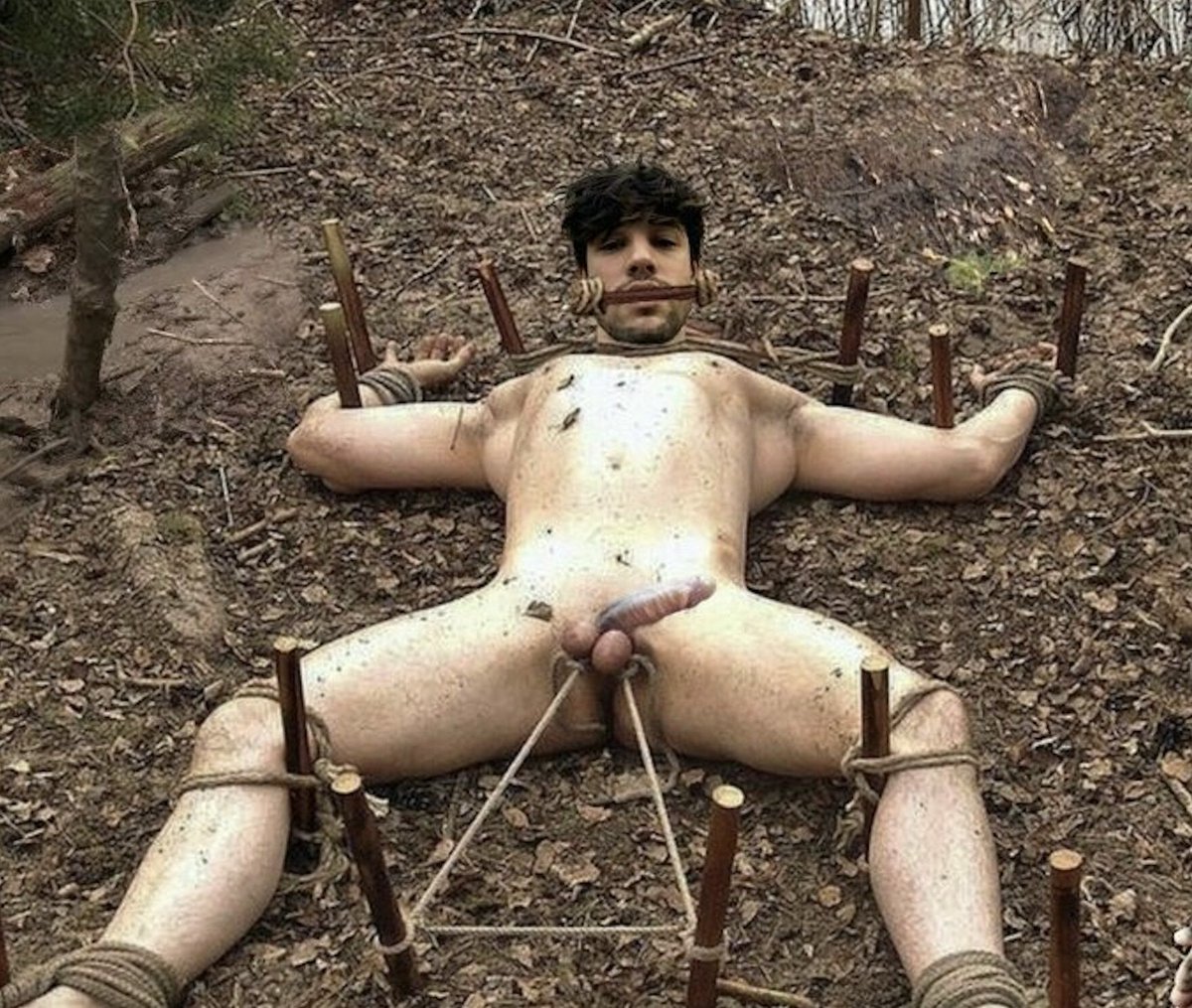 ropesshibari1 (1️⃣0️⃣0️⃣K) (@ropesshibari1) on Twitter photo 