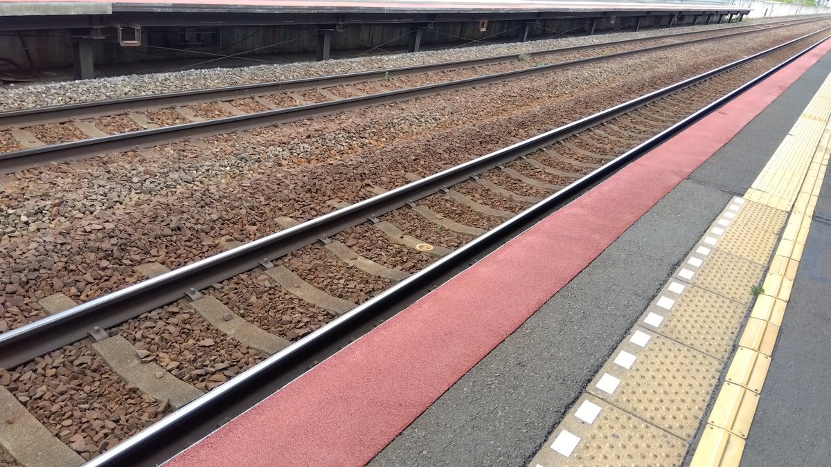 nooogrooo's tweet image. テラステラの応援へ📣💕
札幌10Rのためだけに、
札幌競馬場へと向かいます🤗
#札幌競馬 #テラステラ
