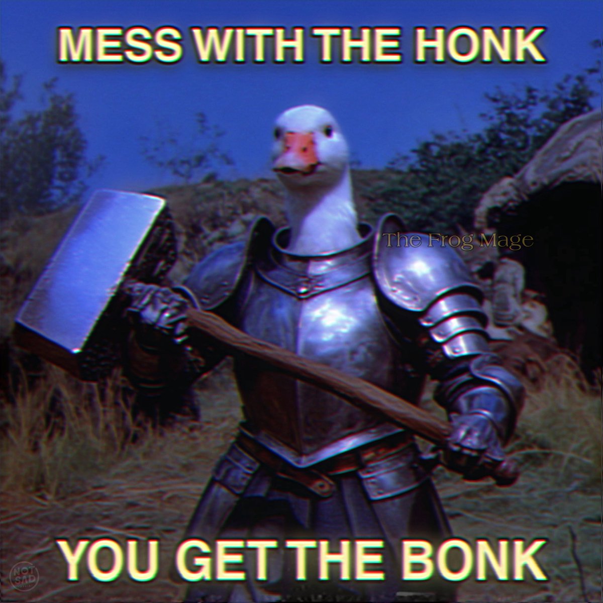 The Frog Mage (@the_frog_mage) on Twitter photo 