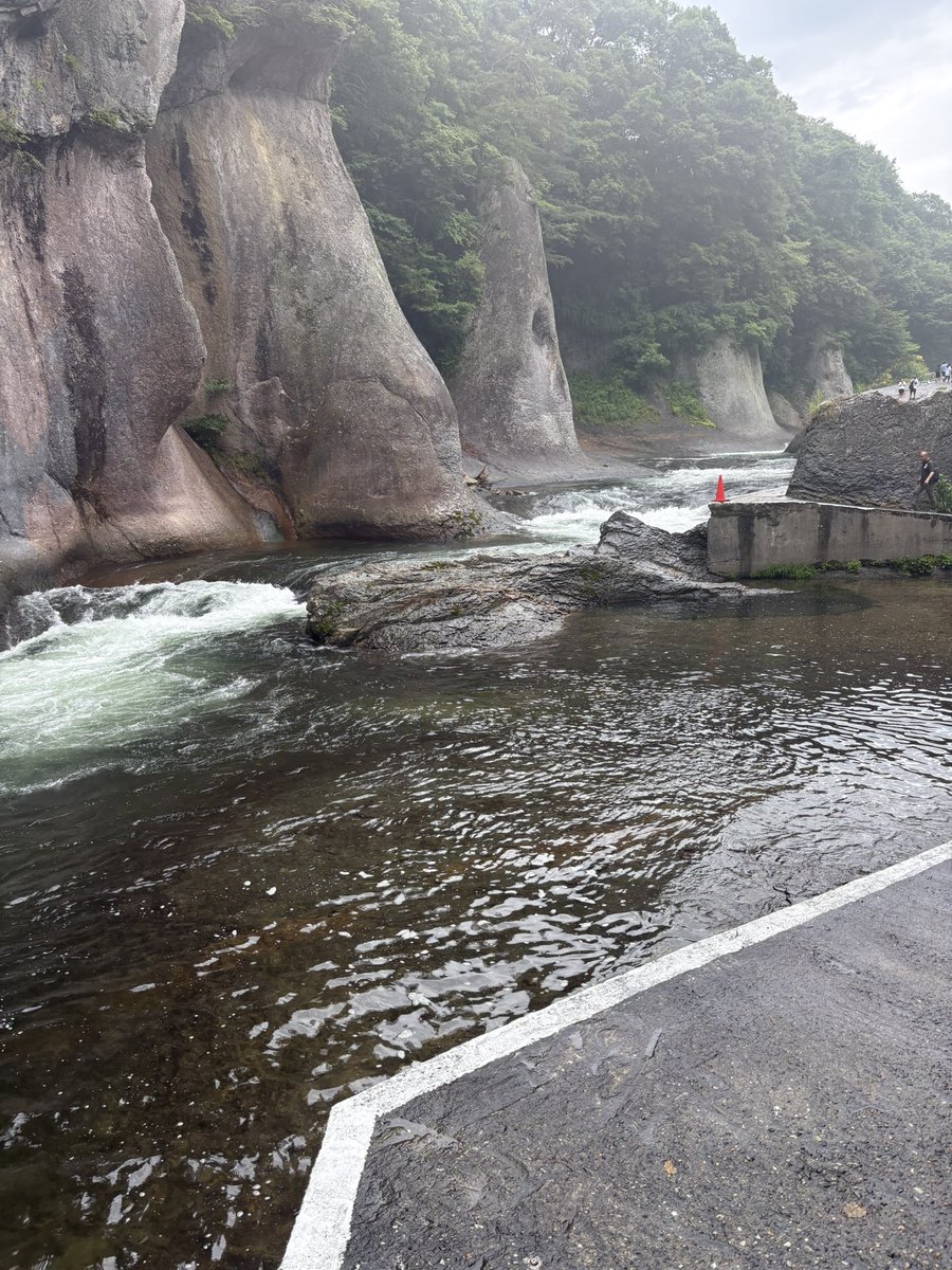 たく@投資家 tweet media