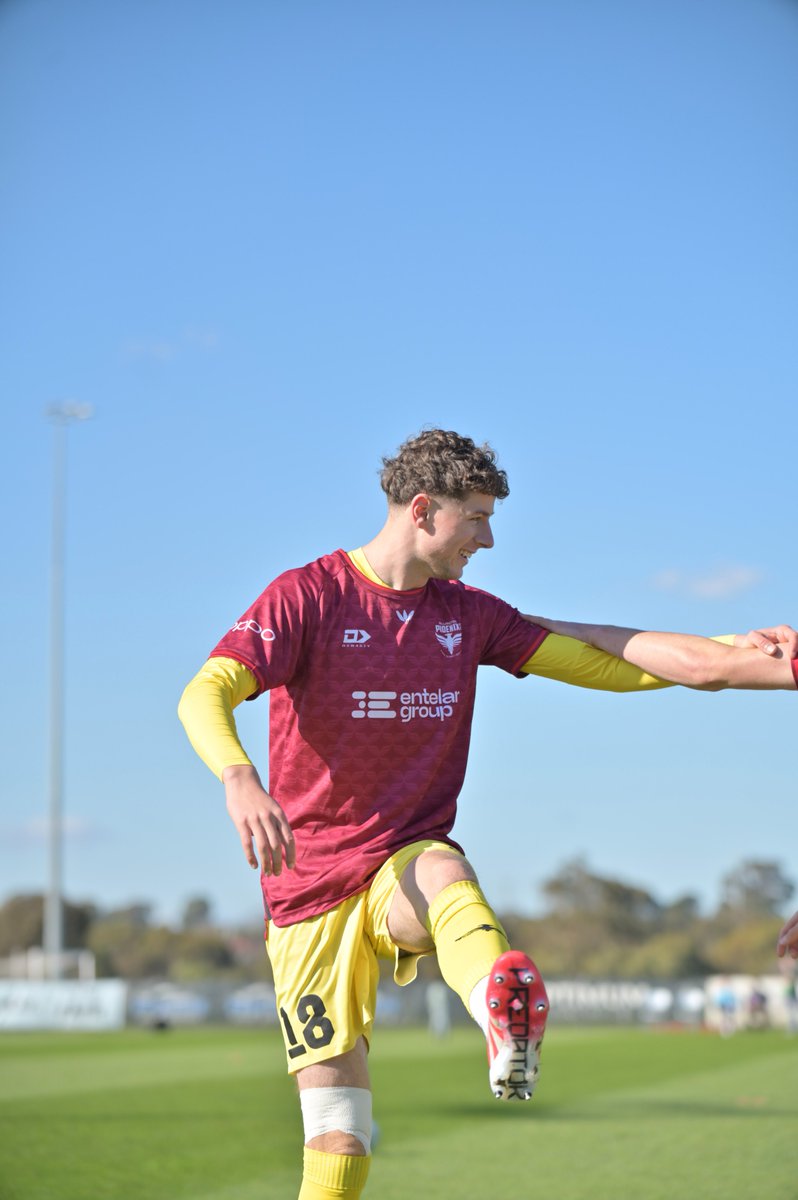 Wellington Phoenix 🔥 tweet media