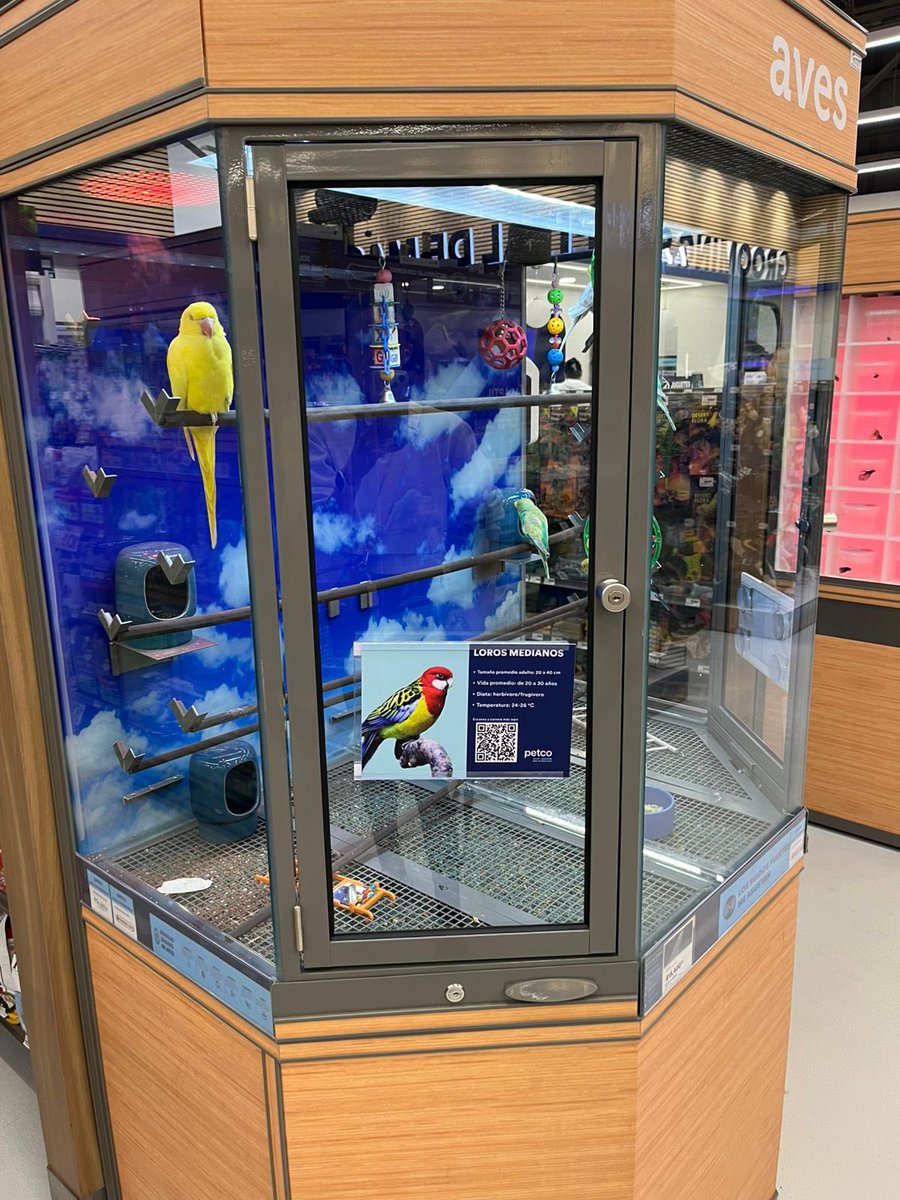 PolsRf's tweet photo. @PetcoMexico ¿Cómo les va haciendo fregaderas de vender animales silvestres? Debería de darles vergüenza. Tengan permiso o no de @PROFEPA_Mx, están muy muy mal. Miren que llevaba años comprando en sus tiendas, y aunque les valga, díganle adiós a mis compras y a las de muchos conocidos. https://t.co/55Cct25u8z