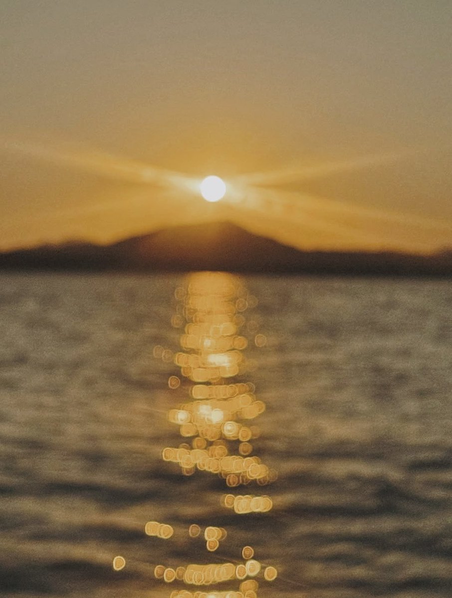 Ms. Mexicana, tweet media