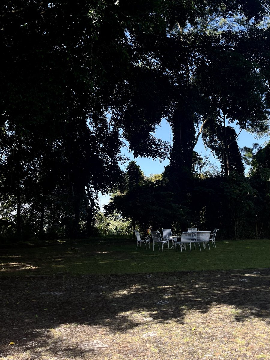 amat salma tweet media