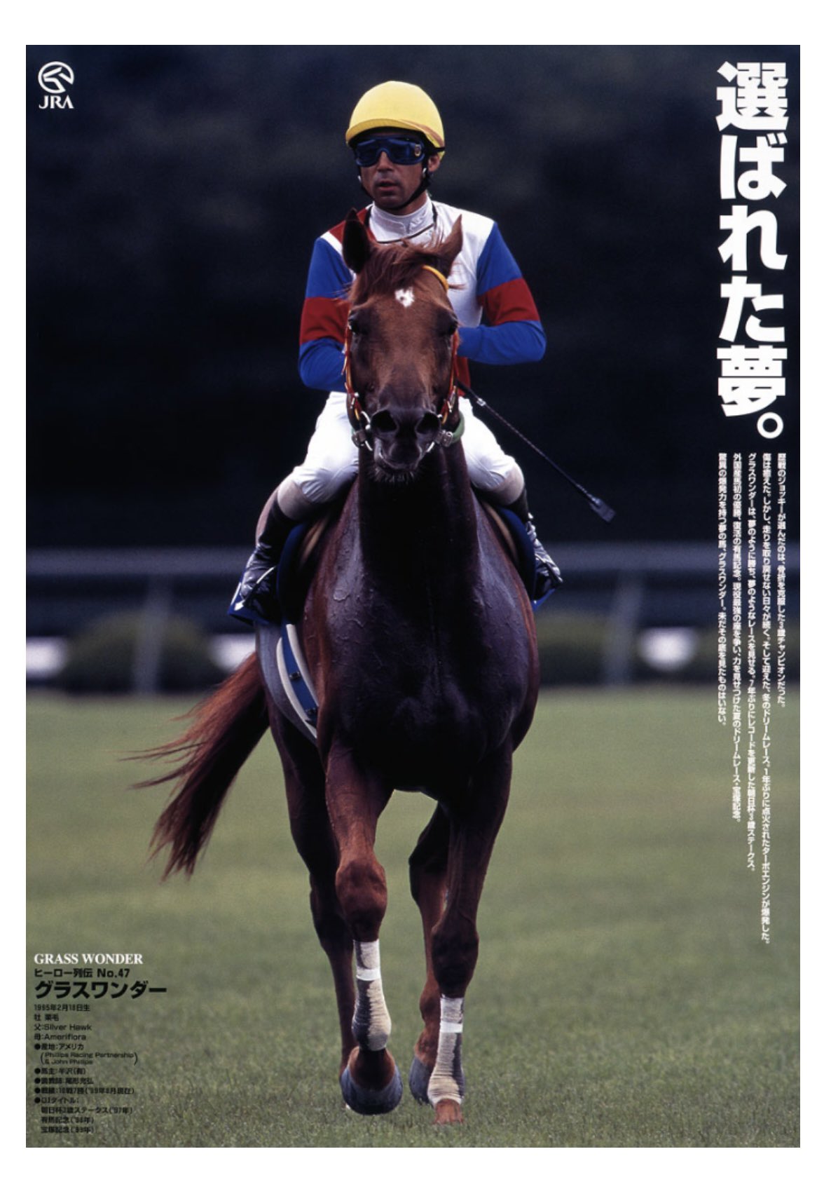 JRAヒーロー列伝 No.47 グラスワンダー JRAヒーロー列伝 No.47 グラスワンダー Yahoo!オークション