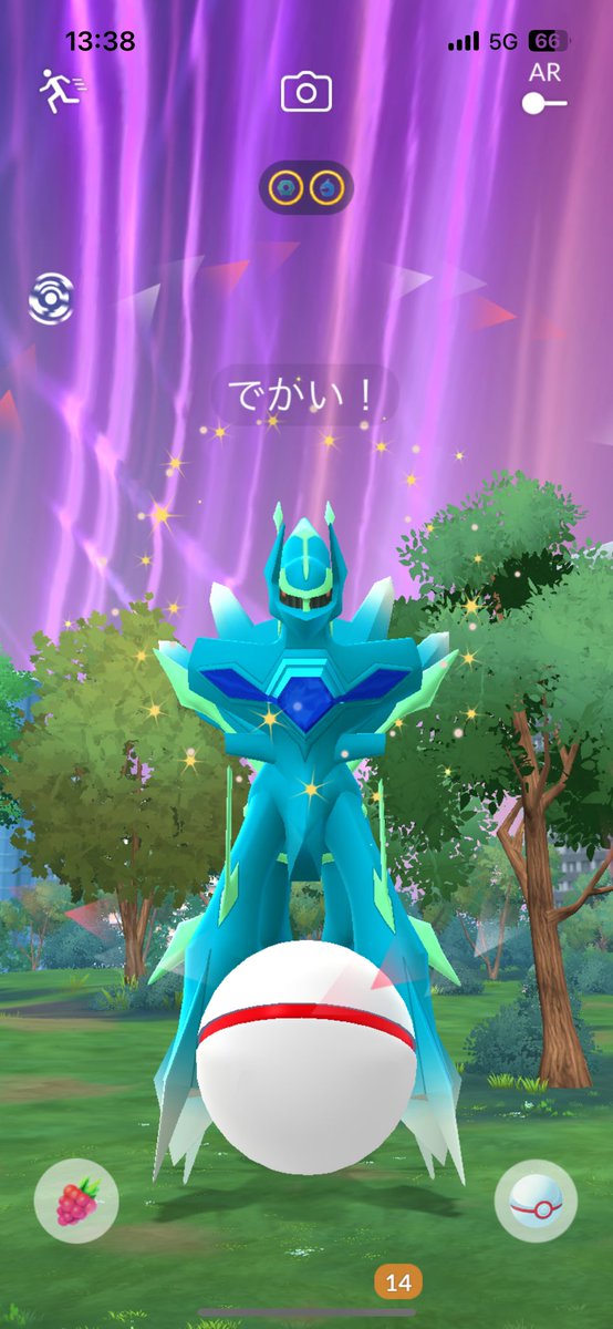 今日は一人でポケ活に勤しんでます