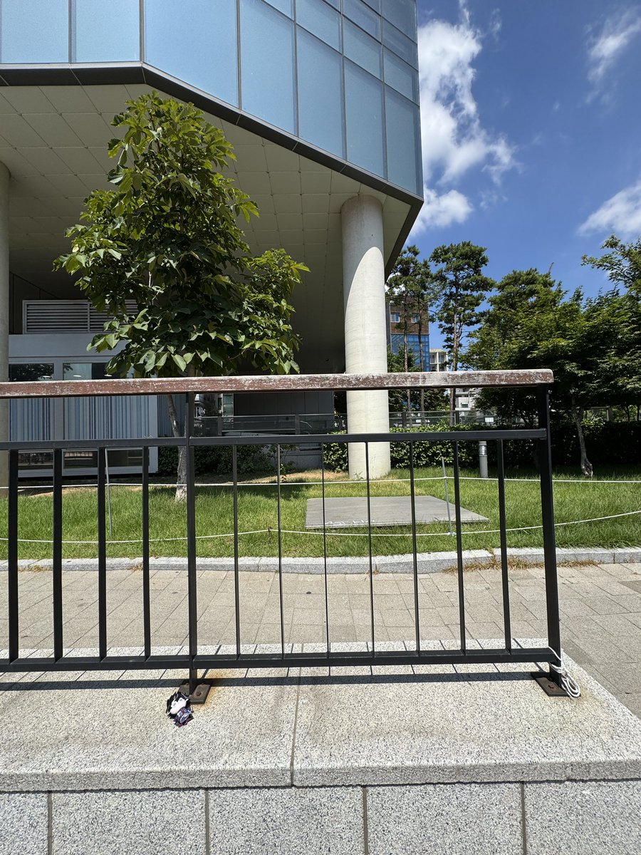 아아 홍대 ak몰 역 출구 쪽에 누군가의 소중한 분실물이 있어요...!! 누군지 모르겠어서 인형 이름은 못 적었어요 🥹🥹