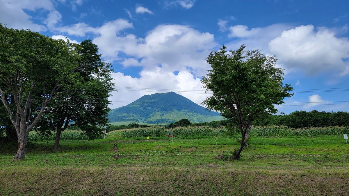 最終目的地見えてきましたねェ