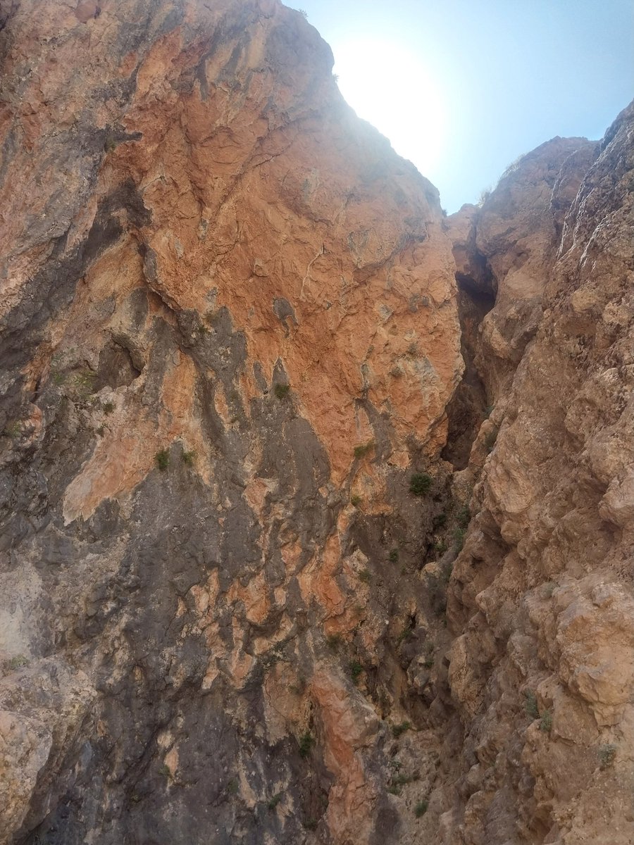 Rojbaş ji kurdistaniyan ra