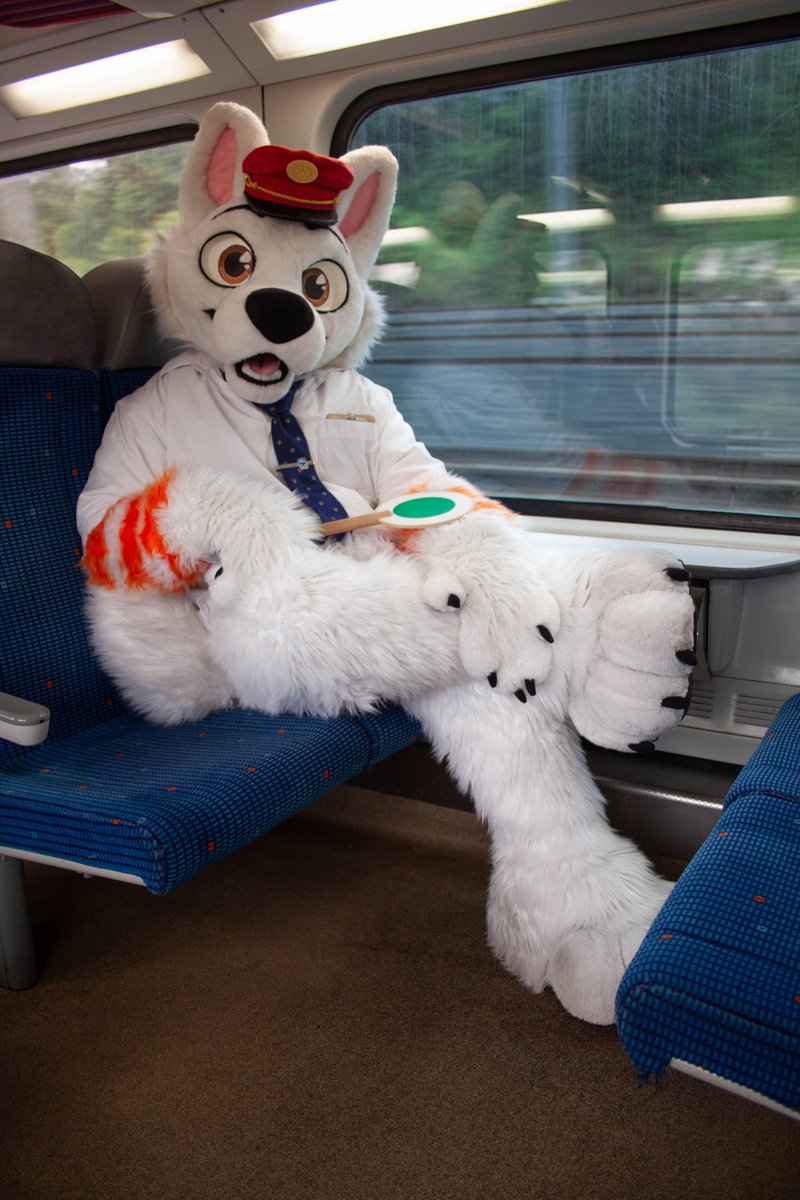 The cutest passenger in the train 🥰🚂🐶

📸 <a href="/LickTheProto/">Lick's Photo</a> 

#fursuiteveryday