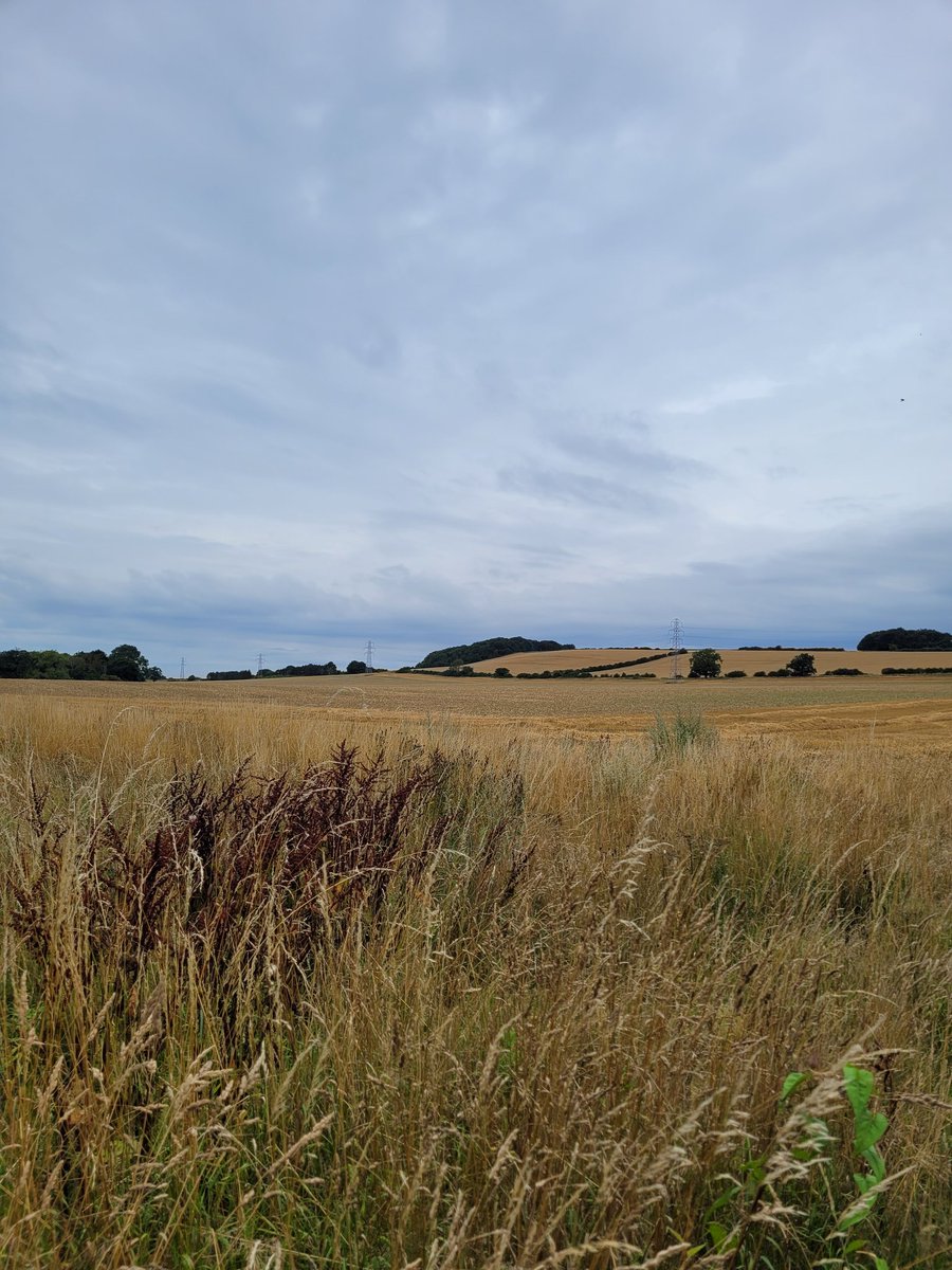 official_danik's tweet image. First run over 10km since April. Starting and finishing at Grantham Town FC, along the country lanes through Barrowby, Casthrope and Harlaxton plus 3km along the Grantham Canal. Great workout!