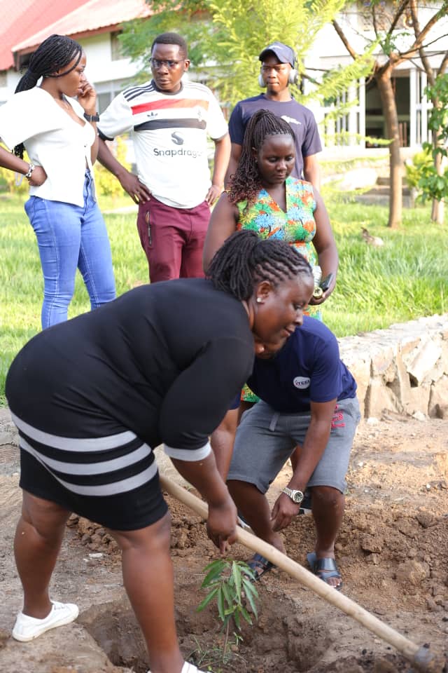 MrDelivery78976's tweet image. After successfully touring around Delight Farm in Nwoya District , we heard to plant trees as team Golden Posts .. Have you planted any tree this year . 
#GoldenPosts