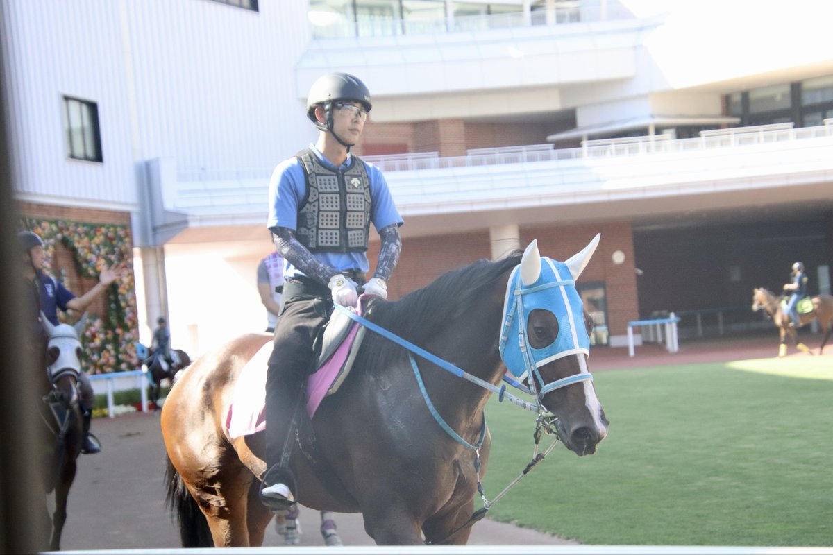 nikoopy's tweet image. 16番人気で未勝利を勝ったピリカちゃん🩵
その時の鞍上はフルキチさんでした…！
#メイショウピリカ
#本田優厩舎
2025.7.24 函館