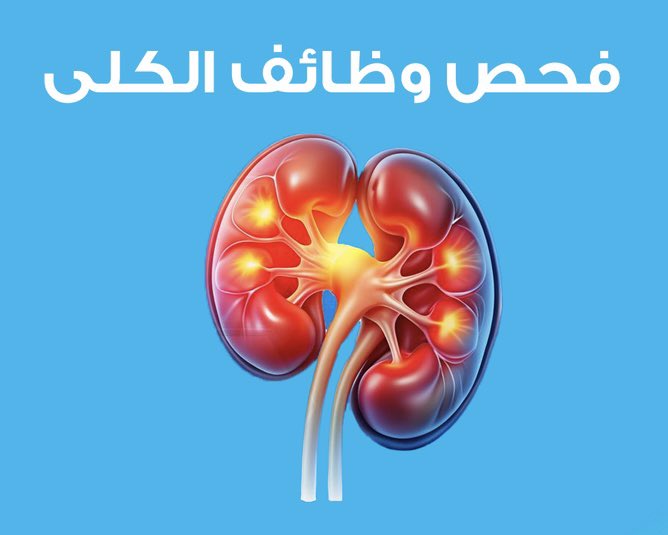 Dr_Khalghamdi's tweet photo. ❇️ نسبة الألبومين (البروتين) في البول إلى الكرياتينين  
Urine Albumin-Creatinine Ratio (uACR)
اختبار أساسي يُستخدم لتقييم وظائف الكلى والكشف المبكر عن تلفها خاصة لدى مرضى السكري وارتفاع ضغط الدم. 

 ❇️ يقيس هذا الاختبار نسبة الألبومين (البروتين) إلى الكرياتينين في عينة البول. 
قد يُشير ارتفاع نسبة الألبومين في البول إلى أمراض الكلى ويرتبط بزيادة مخاطر الإصابة بأمراض القلب والأوعية الدموية والسكتة الدماغية وانخفاض متوسط العمر المتوقع. أهمية طلب هذا التحليل⬇️⬇️⬇️

  1️⃣ الكشف المبكر عن أمراض الكلى:
يكشف عن تلف الكلى قبل ظهور الأعراض:
يتميز اختبار نسبة الألبومين إلى الكرياتينين uACR بدقة عالية في تحديد العلامات المبكرة لتلف الكلى حتى قبل ظهور الأعراض.

 2️⃣ يراقب صحة الكلى:
يساعد على تتبع تطور مرض الكلى وفعالية العلاج لدى الأفراد الذين شُخِّصت إصابتهم بمشاكل في الكلى.

 3️⃣ ضروري لمرضى السكري وارتفاع ضغط الدم:
يُعد مرضى السكري وارتفاع ضغط الدم أكثر عرضة للإصابة بأمراض الكلى، مما يجعل إجراء اختبار نسبة الألبومين إلى الكرياتينين في البول uACR بانتظام أمرًا ضروريًا للكشف المبكر عنها وعلاجها.

 ❇️ عند إجراء اختبار نسبة الألبومين في البول إلى الكرياتينين uACR، سيتم أيضًا إجراء فحص دم بسيط يُسمى معدل الترشيح الكبيبي  (eGFR). يُظهر معدل الترشيح الكبيبي مدى كفاءة عمل الكلى. 
يساعد اختبار نسبة الألبومين في البول إلي الكرياتينين UACR في الكشف المبكر عن أمراض الكلى عندما لا يزال معدل الترشيح الكبيبي eGFR يبدو طبيعيًا.