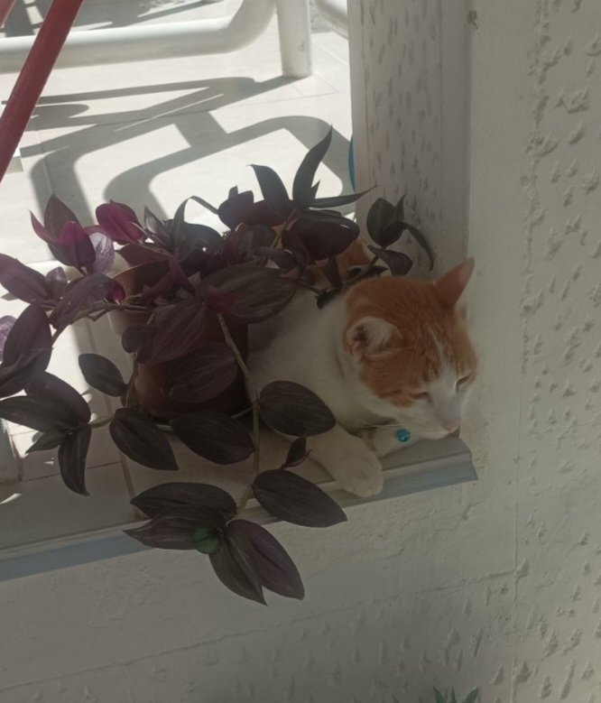 El (@earthling_el) on Twitter photo 