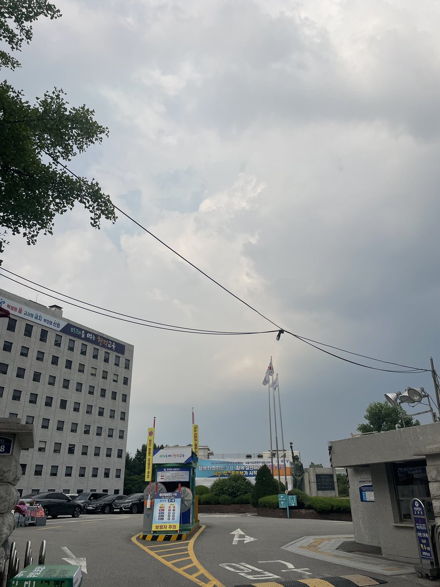 _xiayin's tweet image. 날씨가 아리까리 한데