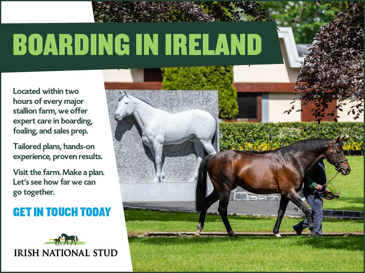 IrishNatStud's tweet image. 🐎Expert Equine Boarding in Ireland - 🇮🇪
Get in Touch Today 📲 +353 45521251