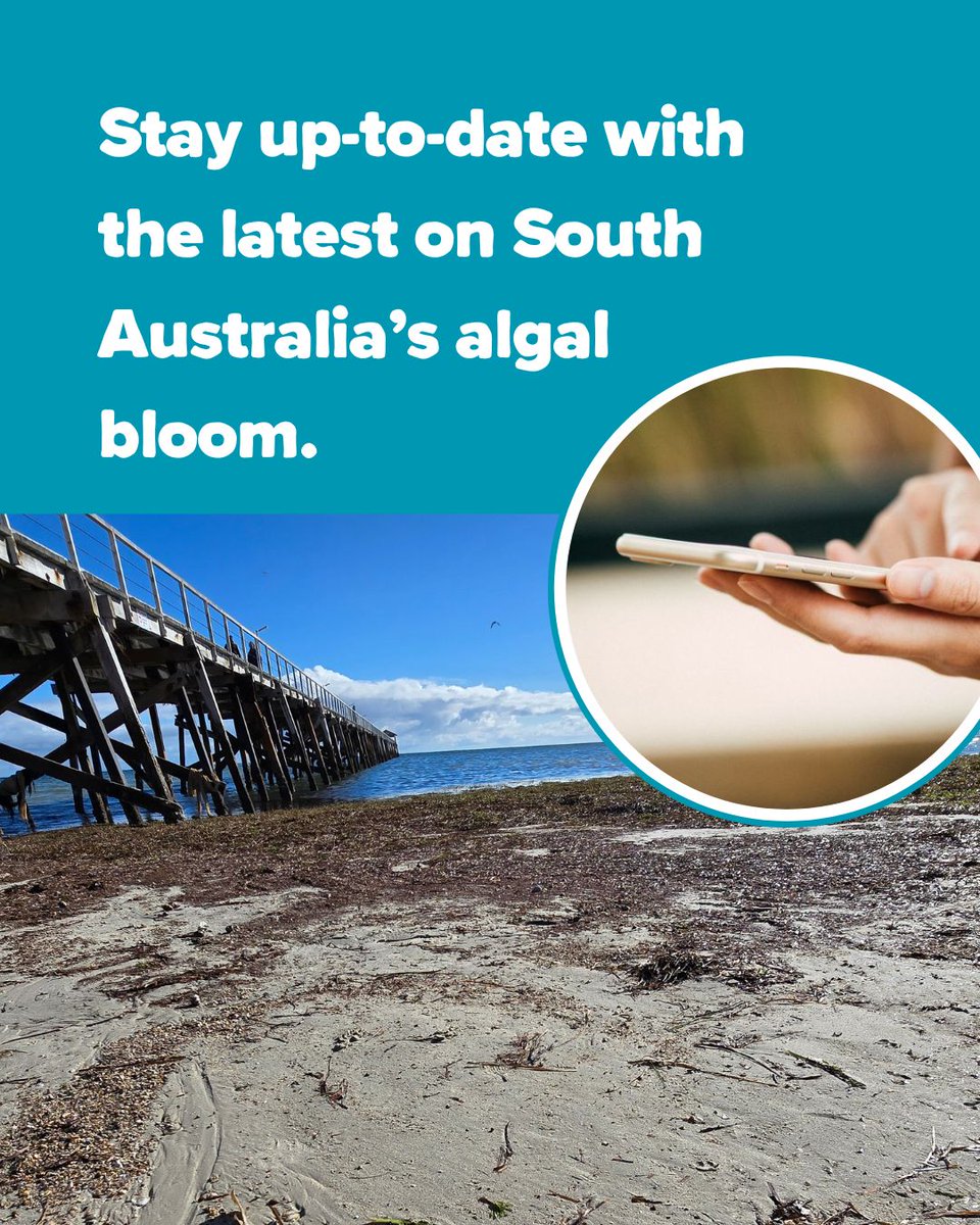 SA Department for Environment & Water (@envirosanews) on Twitter photo The <a href="/sagovau/">SA Government</a> is currently rolling out a $28m support package, to help tackle the impacts of the algal bloom, currently affecting parts of South Australia’s coast. Head to algalbloom.sa.gov.au for the latest. #SouthAustralia #AlgalBloom The <a href="/sagovau/">SA Government</a> is currently rolling out a $28m support package, to help tackle the impacts of the algal bloom, currently affecting parts of South Australia’s coast. Head to algalbloom.sa.gov.au for the latest. #SouthAustralia #AlgalBloom