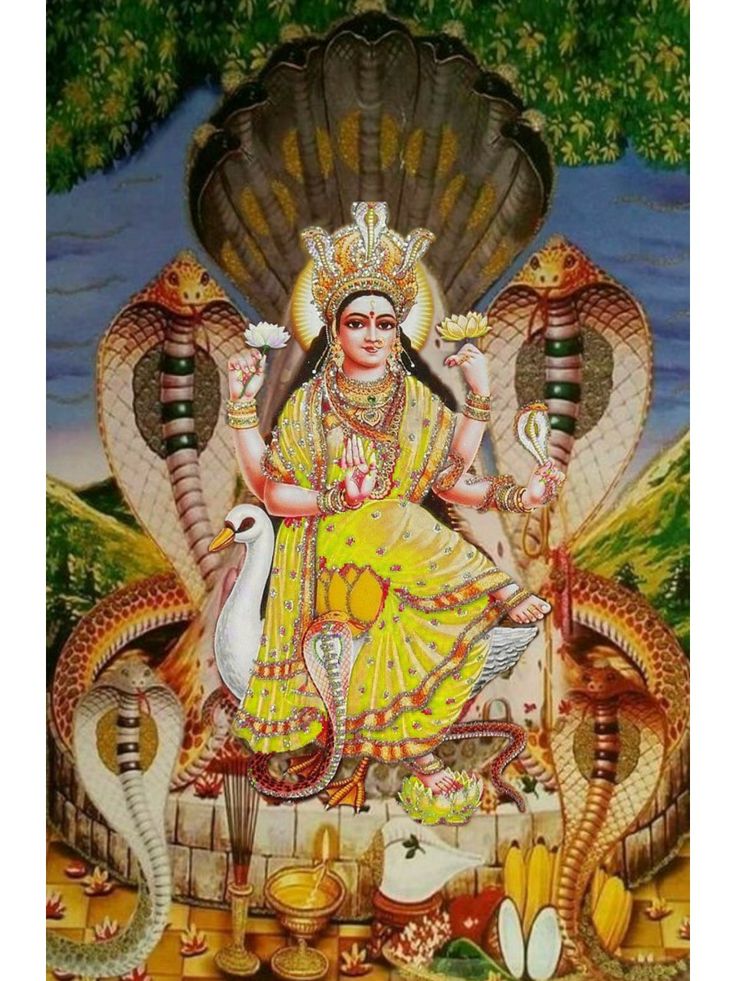 रक्षांसि यत्रोग्रविषाश्च नागा यत्रारयो दस्युबलानि यत्र। 
दावानलो यत्र तथाब्धिमध्ये तत्र स्थिता त्वं परिपासि विश्वम्॥

भगवती 🙏