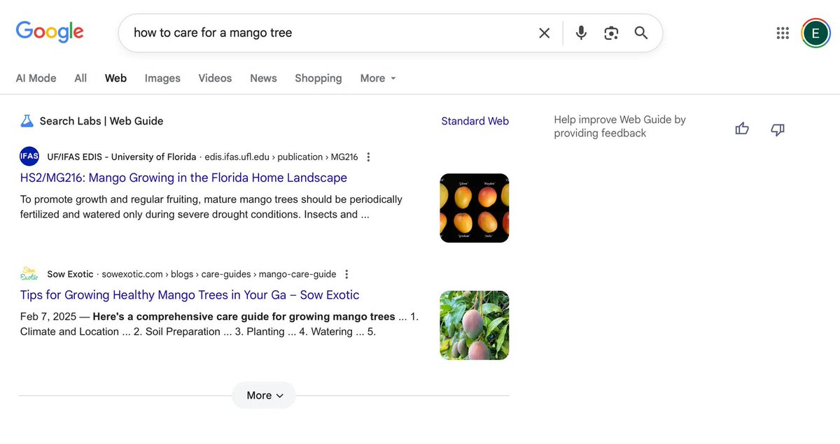 AKuznietsov75's tweet image. 🤖🔎 #Google презентувала #WebGuide — нову експериментальну функцію, яка змінює спосіб відображення результатів пошуку.

На відміну від класичних «10 синіх посилань», Web Guide групує знайдену інформацію за темами, допомагаючи користувачам легше орієнтуватися в матеріалах.