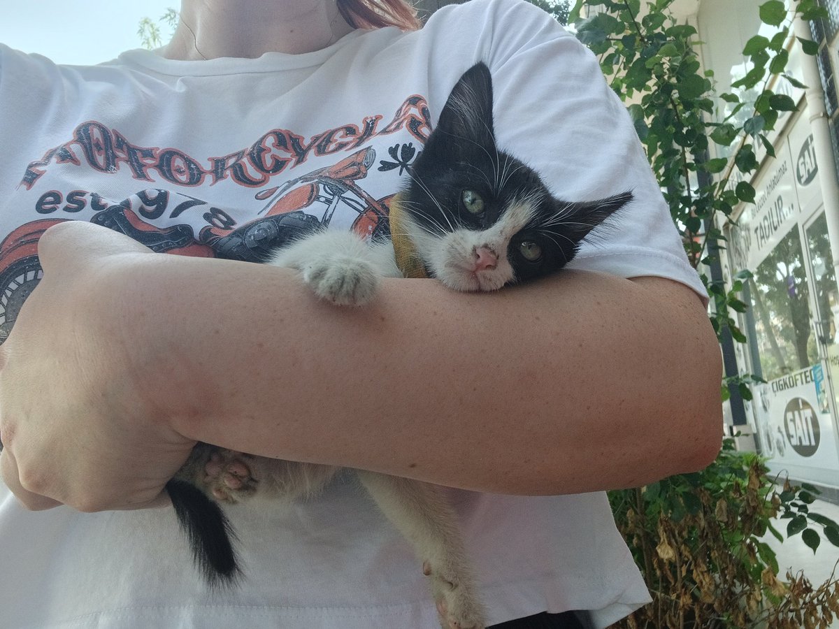 Sen gel benim kızım ol ya