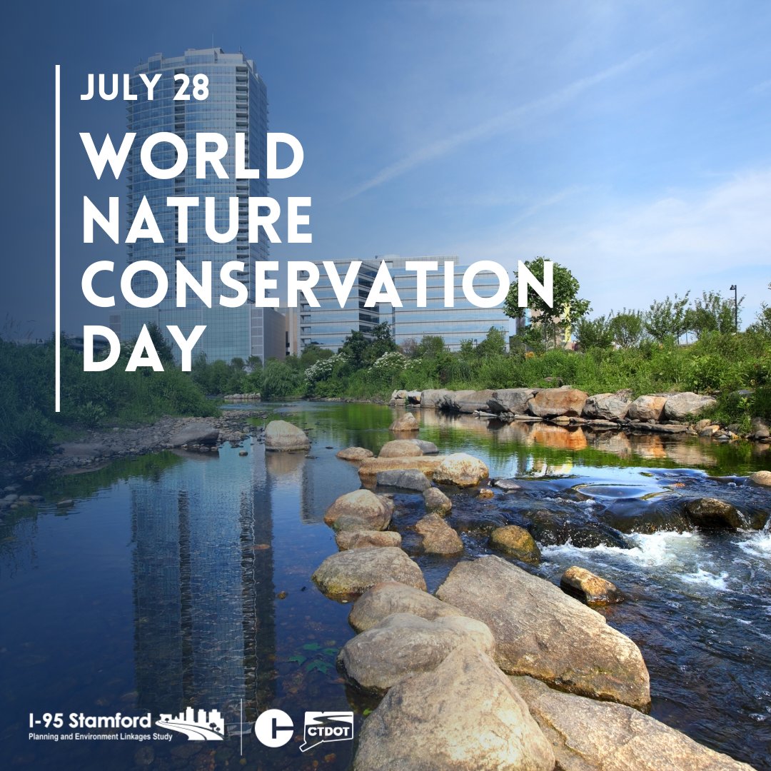 Happy Nature Conservation Day! A reminder of why protecting our parks, rivers, and green spaces matters.

In Stamford, preserving these natural areas helps keep our community healthy and vibrant for everyone.

 ¡Feliz Día de la Conservación de la Naturaleza! Un recordatorio de