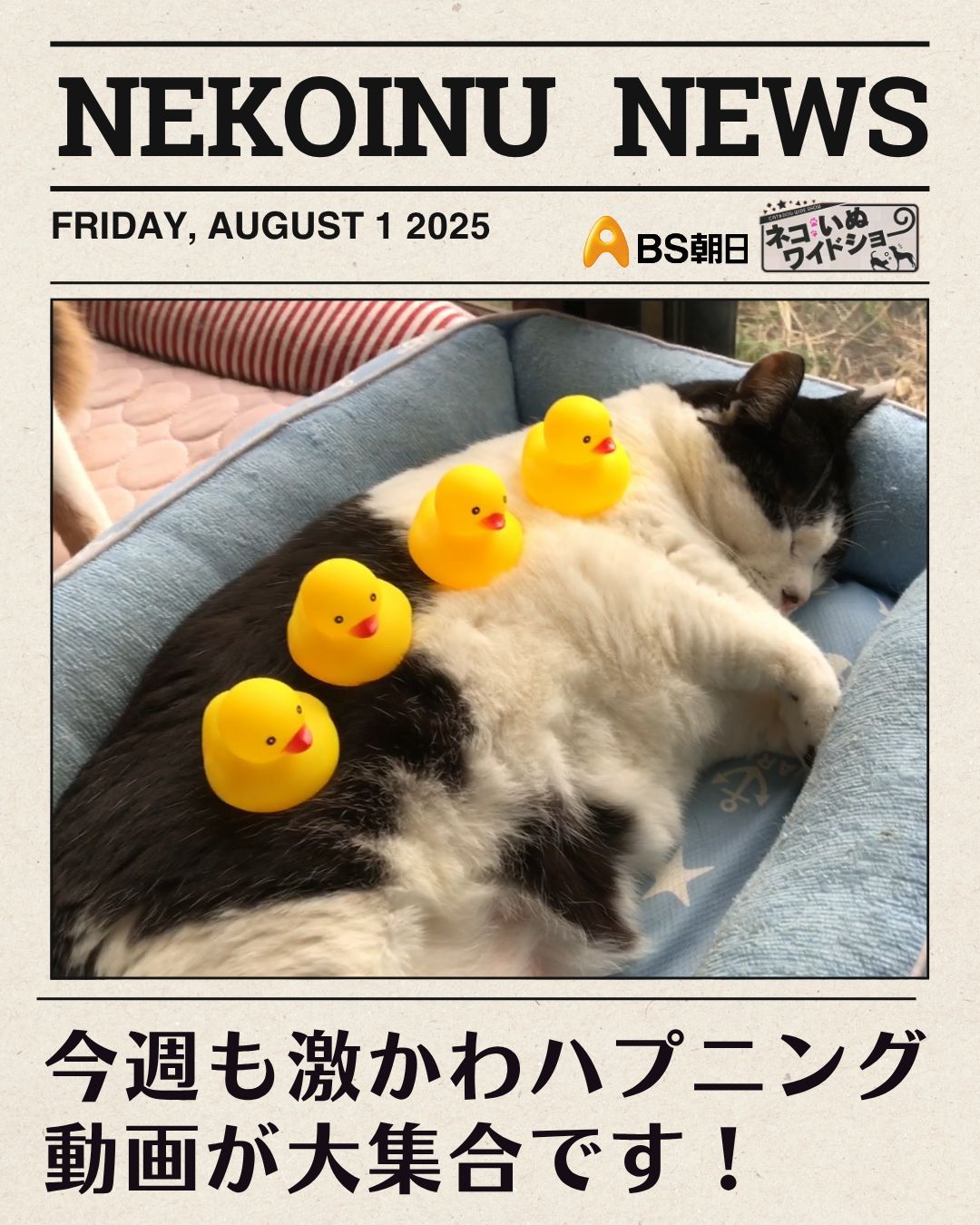 いぬい ぬいぐるみ Crawling dog | はちみせ （83）