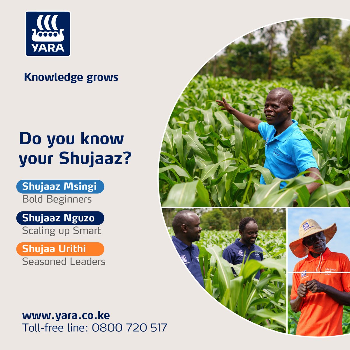You’ve seen them and the work they do. But let’s break down the Yara Shujaaz once more:
Shujaaz Msingi – They are eager to learn and ready to grow through their agriculture journey.

Shujaaz Nguzo – They’re scaling up with smart practices and modern tools.

Shujaaz Urithi –