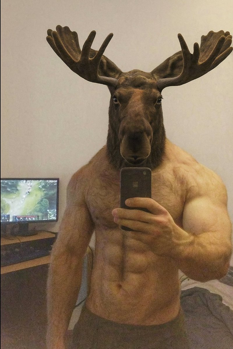 dudy.ip (@0xdudy) on Twitter photo Good morning <a href="/DataHaven_xyz/">DataHaven 🫎</a> herd!🫎
May your day be as strong as a moose's antlers, steady as his stride through the forest, and calm as a misty morning in the wild.
Don’t rush - move with purpose!
Wishing you light, strength, and full-on moose determination today!💪🌲 Good morning <a href="/DataHaven_xyz/">DataHaven 🫎</a> herd!🫎
May your day be as strong as a moose's antlers, steady as his stride through the forest, and calm as a misty morning in the wild.
Don’t rush - move with purpose!
Wishing you light, strength, and full-on moose determination today!💪🌲