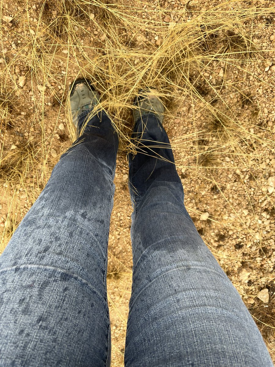 ✨Life is about experiences. 💫

When you live in a country with a lot of sunshine, rain is precious. 

It was great to be out in it. 

What experiences are you enjoying right now?