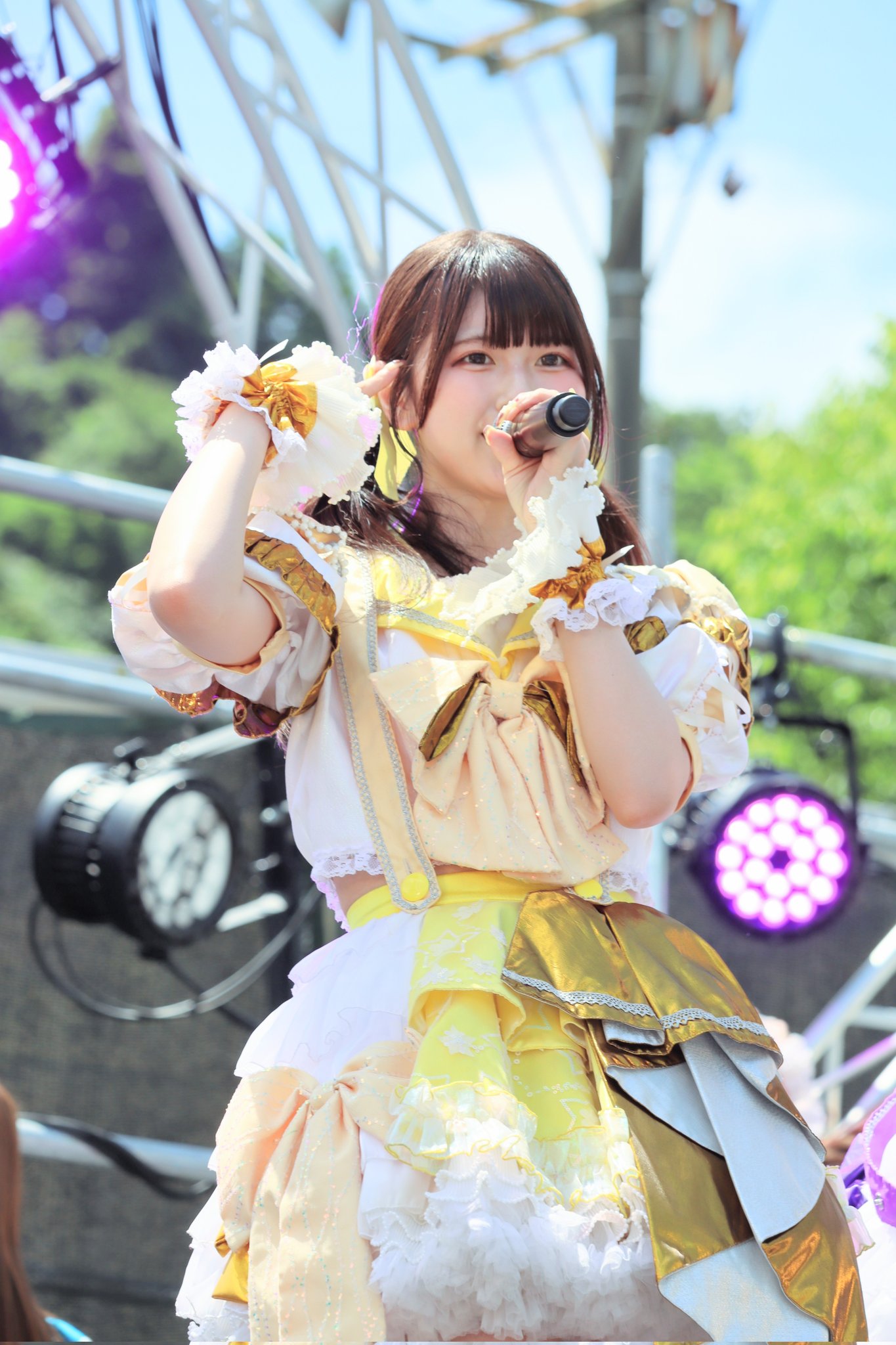 金華山姫ちゃんページです☆ フリーカメラマン山田📸 on X: 