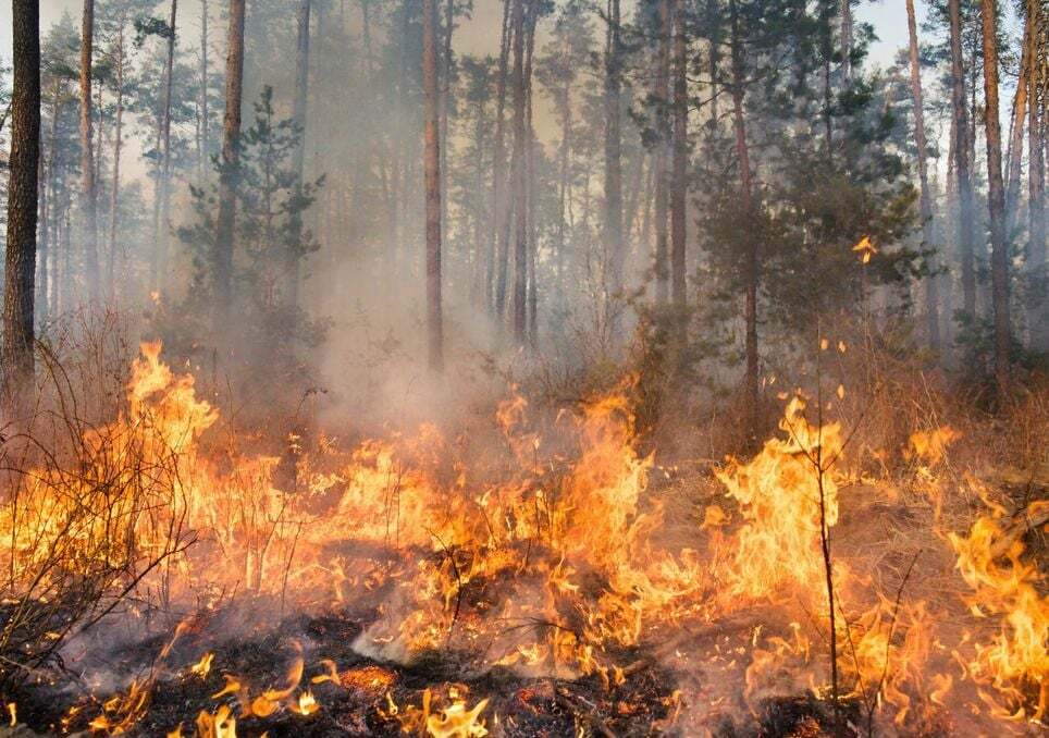 TIEMPO&CLIMA (@tiempoclima) on Twitter photo #NoticiadelTiempo
El fuego no da tregua: alarma por el incendio en Ávila mientras España supera ya las 29.000 hectáreas calcinadas
by <a href="/MeteoredES/">Meteored | tiempo.com</a>
Más info👇
ift.tt/RABQsKS
Tiempo.com - Meteored #NoticiadelTiempo
El fuego no da tregua: alarma por el incendio en Ávila mientras España supera ya las 29.000 hectáreas calcinadas
by <a href="/MeteoredES/">Meteored | tiempo.com</a>
Más info👇
ift.tt/RABQsKS
Tiempo.com - Meteored