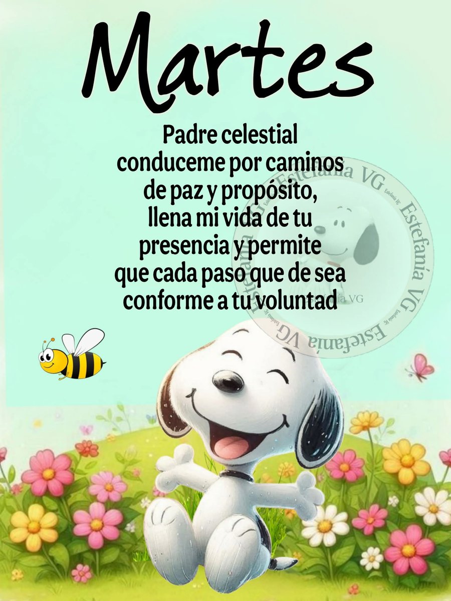 @Augusto Rivera (@7a8527e21de74bc) on Twitter photo 