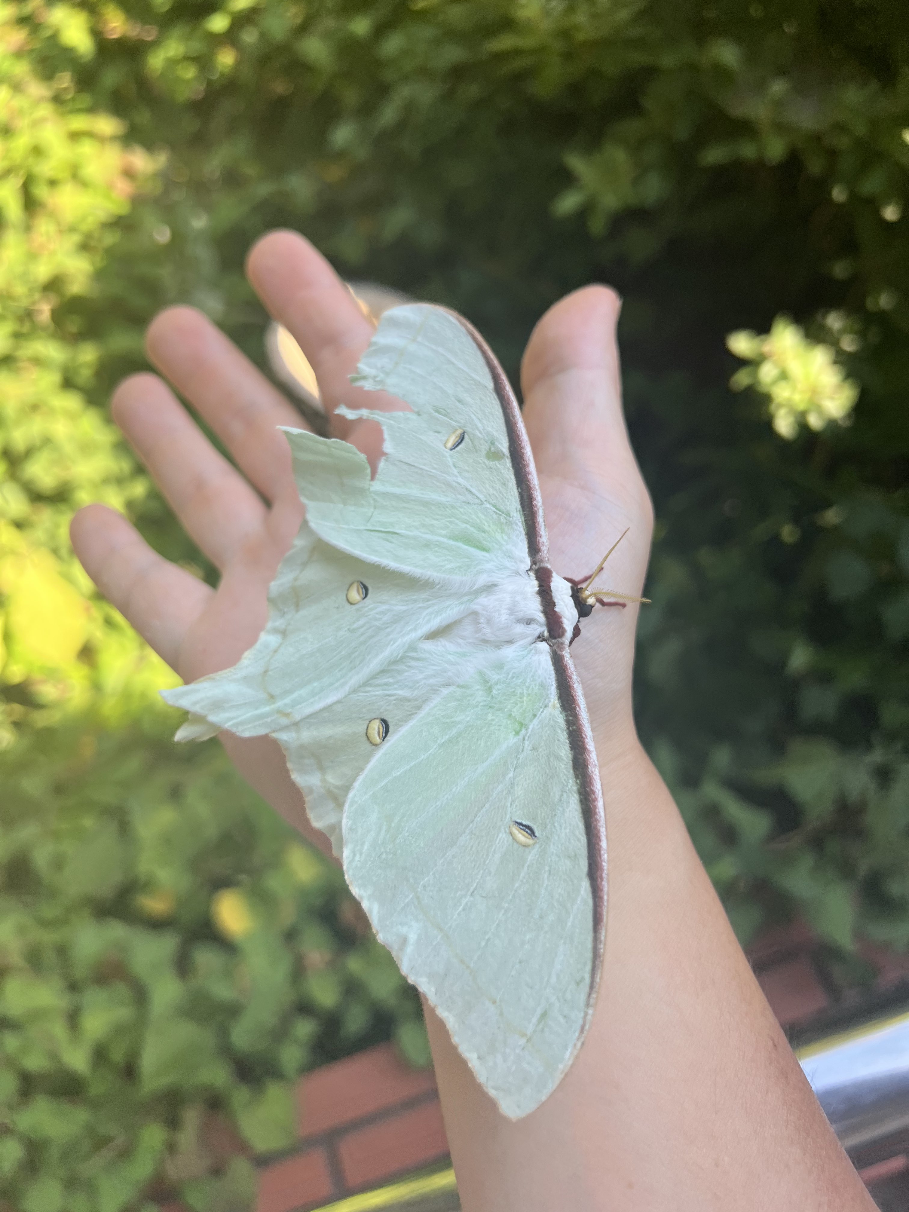 あきにゃん😺 (@akinyan1005) / X