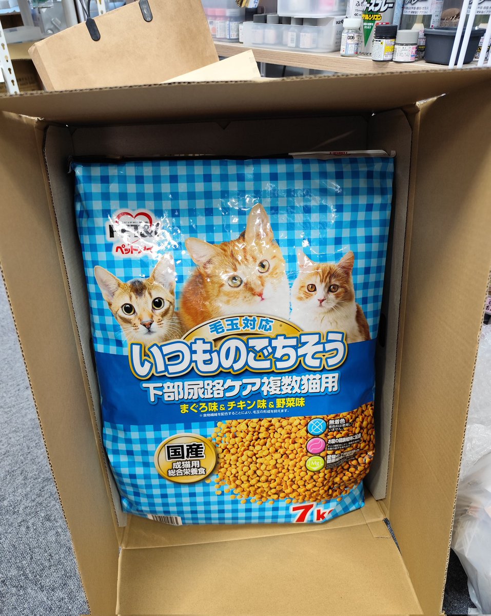 熊猫ぱん🐼💞 (@panchan_33) / X