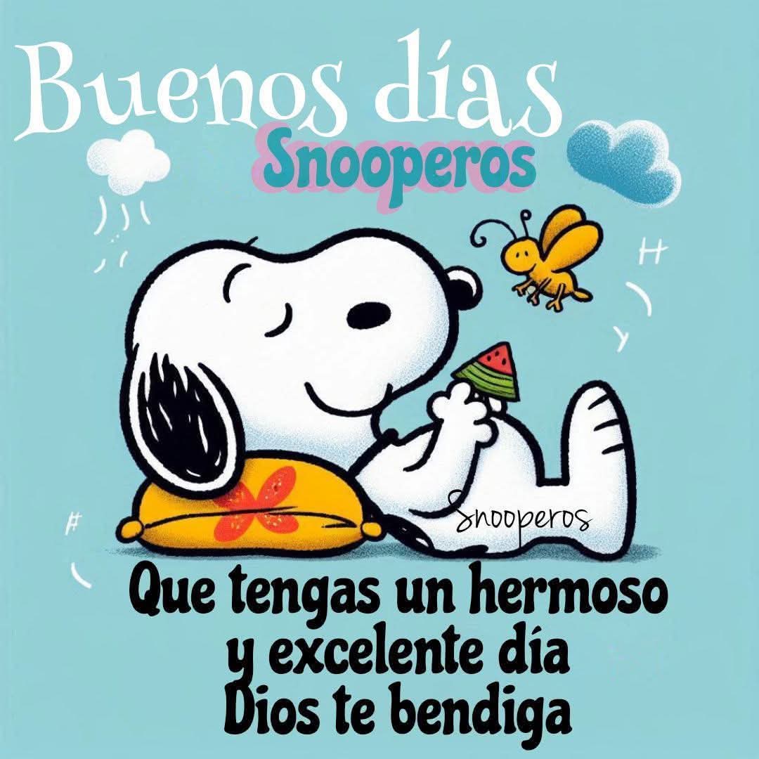 @Augusto Rivera (@7a8527e21de74bc) on Twitter photo 