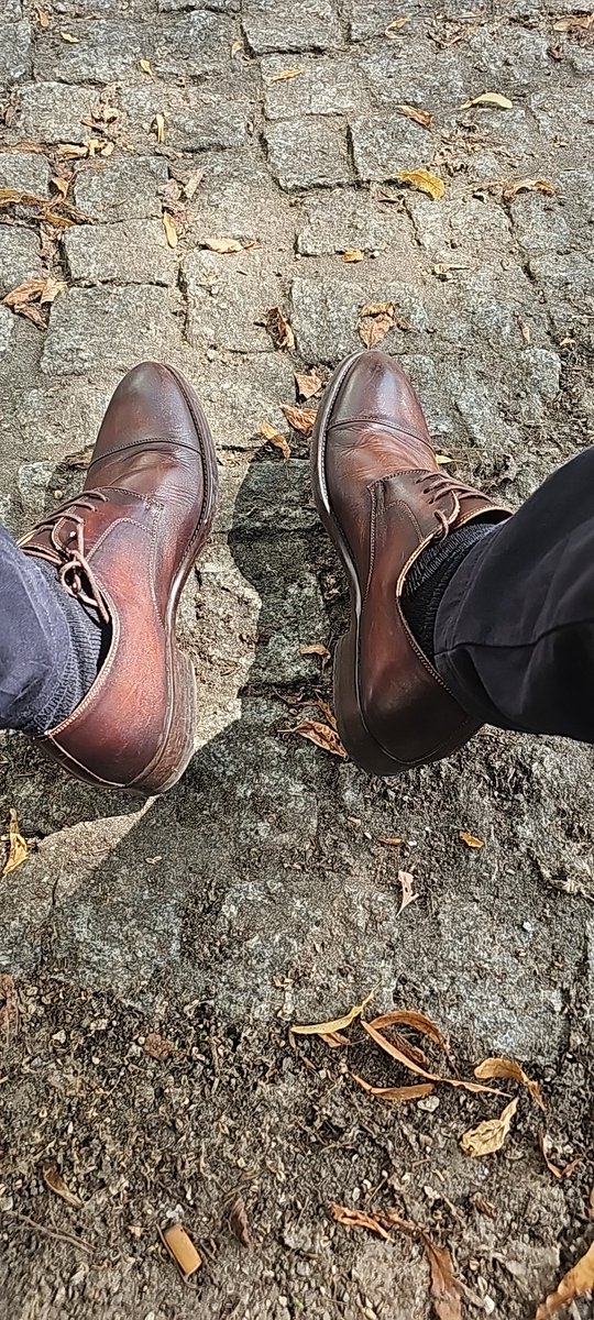 Ich sitze gerade gemütlich auf einer Parkbank und genieße meinen Kaffee und lese die Zeitung. Stell dir vor du läufst vorvei und bemerkst mich. Ein blick von mir genügt. Du wirfst dich auf den Boden und legst deinen Kopf auf den Boden tzwischen meine Füße und wartest