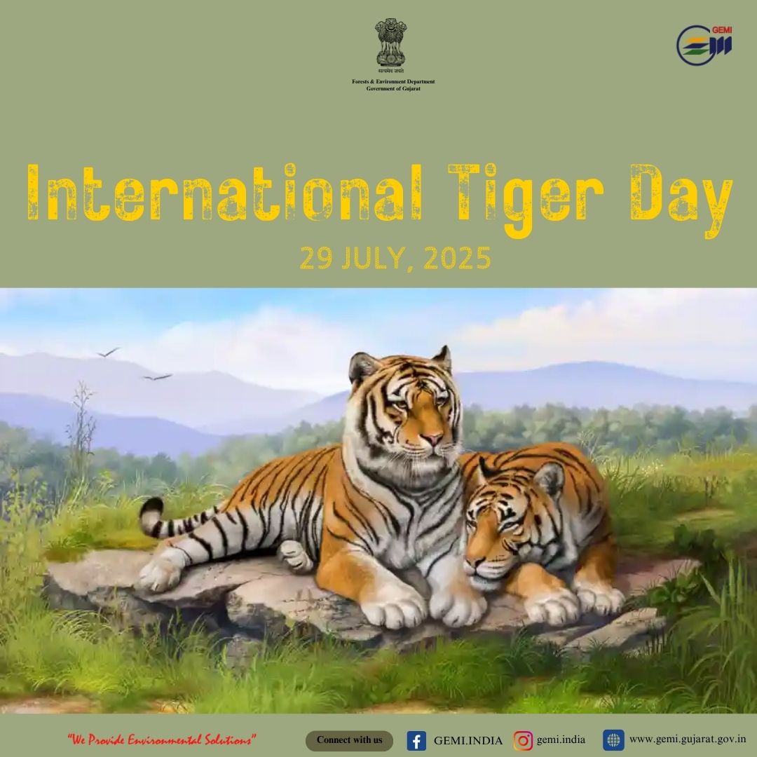 GEMI_Gujarat's tweet photo. "𝐒𝐚𝐯𝐞 𝐓𝐢𝐠𝐞𝐫𝐞𝐬, 𝐒𝐚𝐯𝐞 𝐅𝐨𝐫𝐞𝐬𝐭𝐬. 𝐒𝐚𝐯𝐞 𝐋𝐢𝐟𝐞"
#internationaltigerday🐯  #savetigers🐯 #roarfortigers #gemiindia #wildlifeConservation #wildlifephotography🖼️ #forestdepartmentgujarat #gujaratinformation #GeerFoundation https://t.co/ldAT3cON15