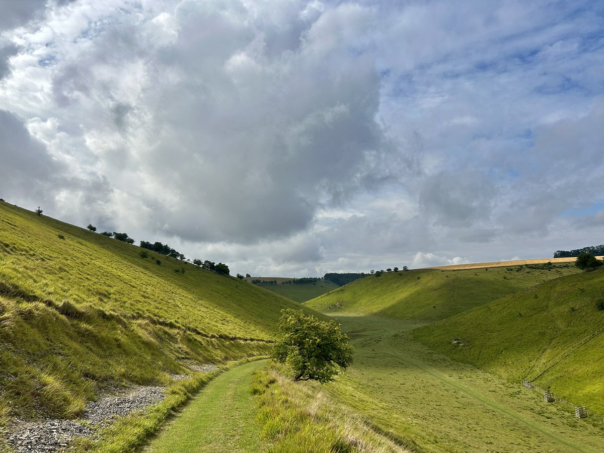 Morning Paths. 17°C and quite cloudy. Deer on the hills.